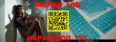 мдпв Гатчина