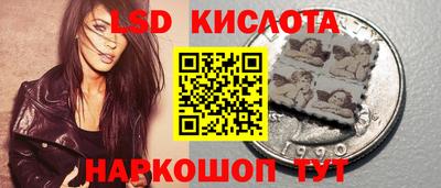 мдпв Гатчина