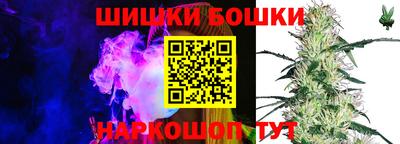 крисы Гагарин