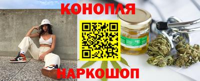 мдпв Гатчина