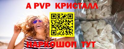 крисы Гагарин