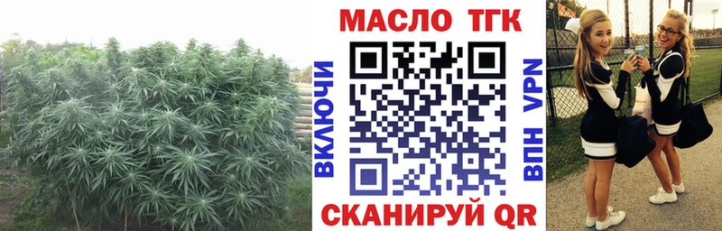 Дистиллят ТГК THC oil  дарнет шоп  Иваново 