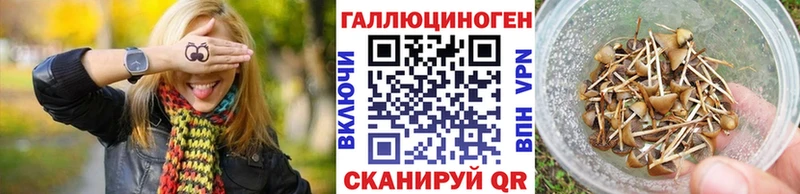 Галлюциногенные грибы Magic Shrooms  нарко площадка состав  Иваново 