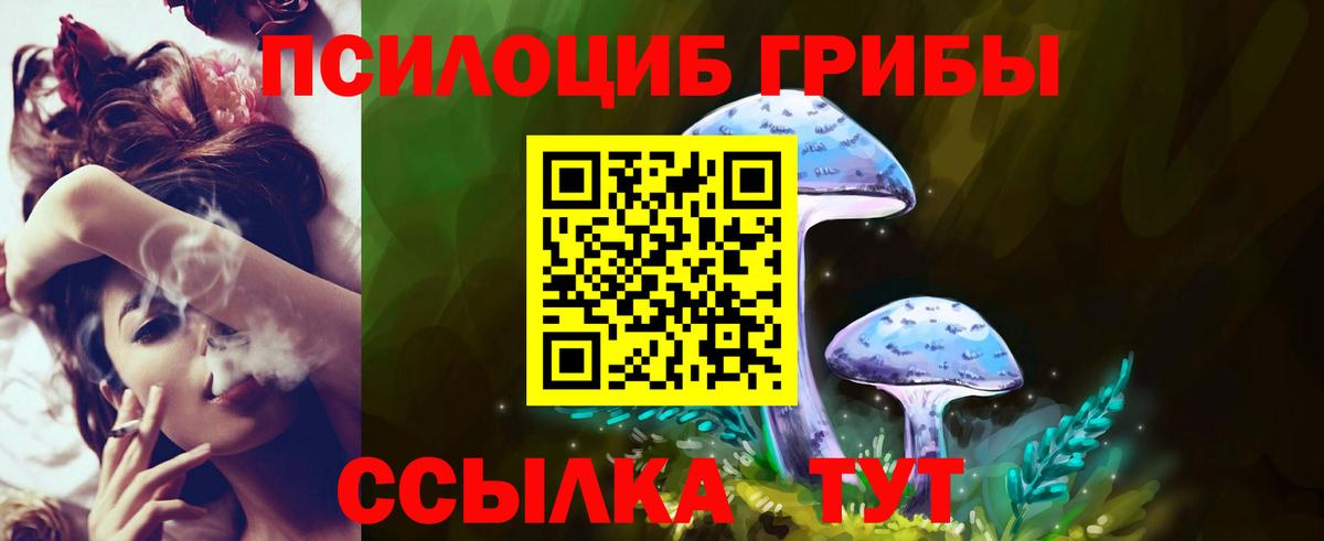 Псилоцибиновые грибы мухоморы Иваново